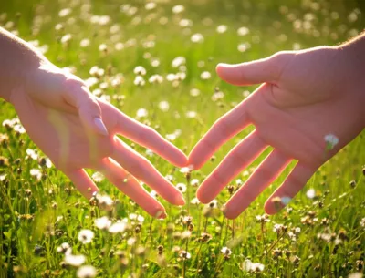 Illustration reunited