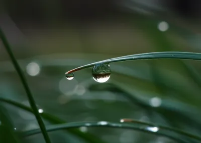 Illustration elegance - Image 1