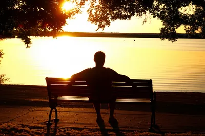 Illustration dumb - Image 1