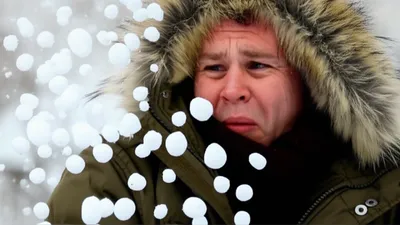 Illustration pelts - Image 1