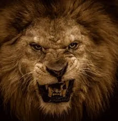 Illustration aggressive - Image 2