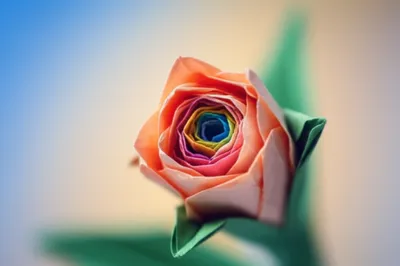 Illustration explications