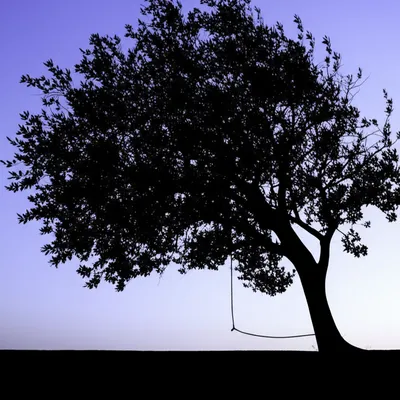 Illustration hanging - Image 1