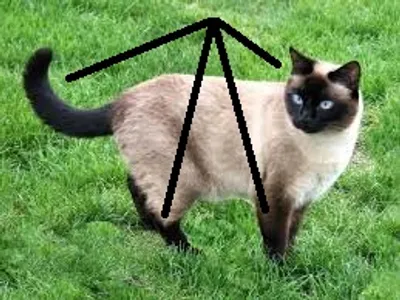 Illustration point - Image 4