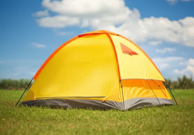 Illustration canvas - Image 1