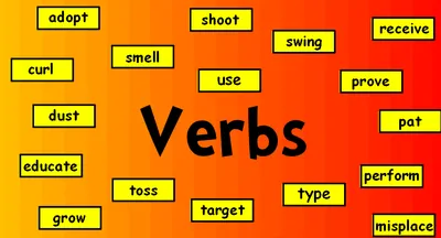 Illustration verb - Image 2