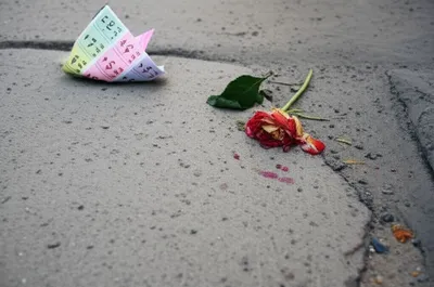 Illustration sops - Image 1