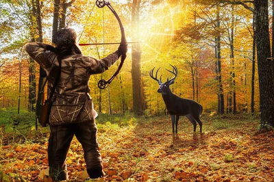 Illustration seasonable - Image 1