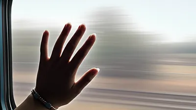 Illustration tara - Image 1