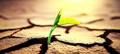 Illustration broken - Image 1