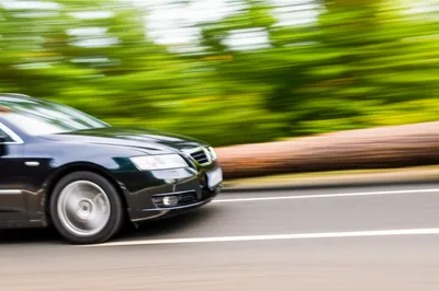 Illustration veer - Image 1