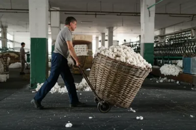 Illustration skips - Image 1