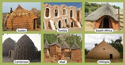 Illustration vernacular - Image 2