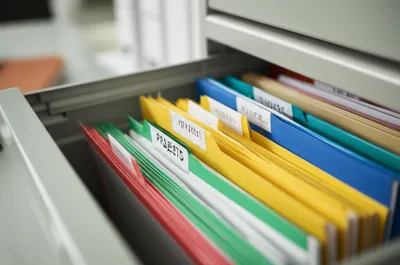 Illustration filed - Image 1