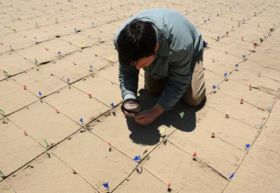 Illustration swept - Image 1