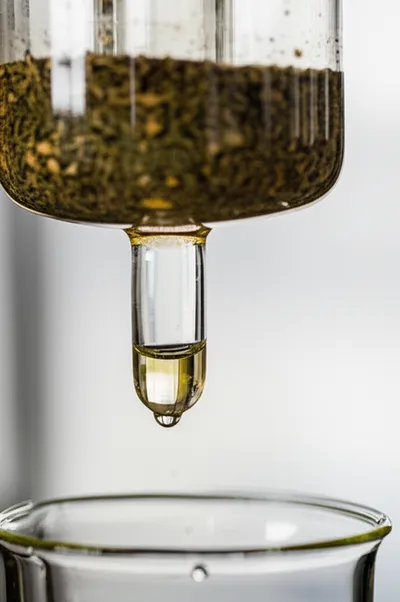 Illustration percolator - Image 1