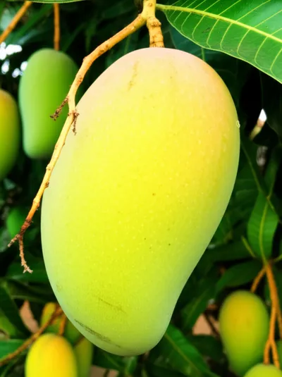 Illustration digests - Image 1