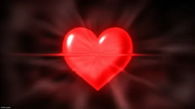 Illustration pounded - Image 1