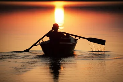 Illustration pull - Image 1