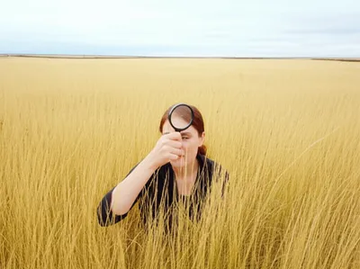 Illustration searches - Image 1