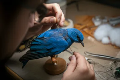 Illustration stuffs - Image 1