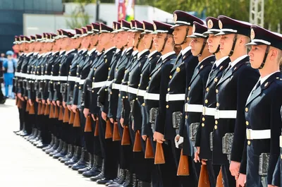 Illustration fagots - Image 1