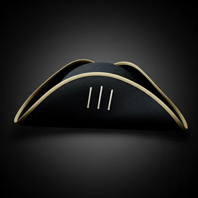 Illustration tricorne - Image 1