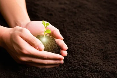 Illustration holds - Image 1