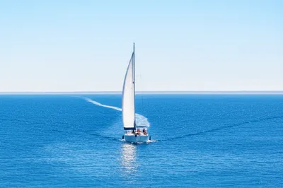 Illustration steered - Image 1