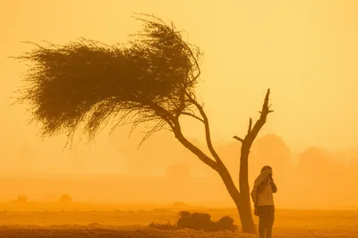 Illustration loo - Image 1