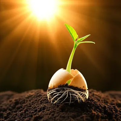 Illustration formative - Image 1