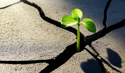 Illustration augmenting - Image 1