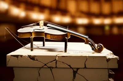 Illustration baser - Image 1