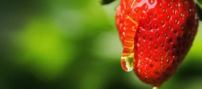 Illustration filmed - Image 1