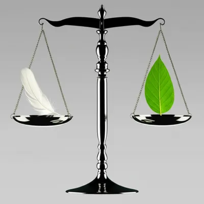 Illustration equilibrium - Image 1