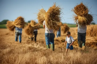 Illustration gleaning - Image 1