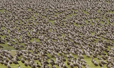 Illustration briefer - Image 1