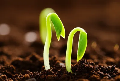 Illustration spires - Image 1