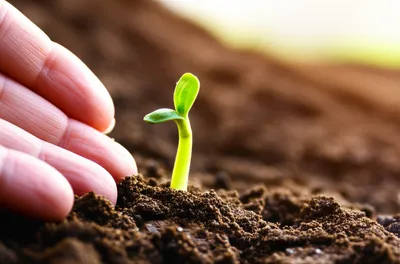 Illustration quickening - Image 1