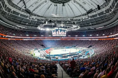 Illustration arenas - Image 1