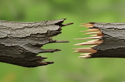 Illustration tender - Image 1