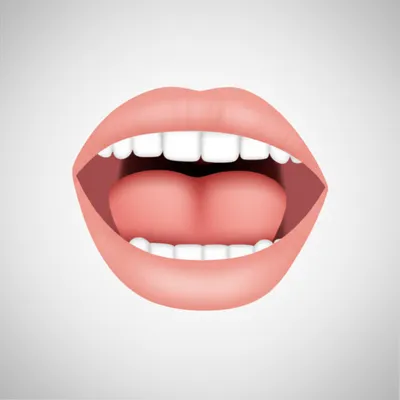 Illustration roll - Image 1