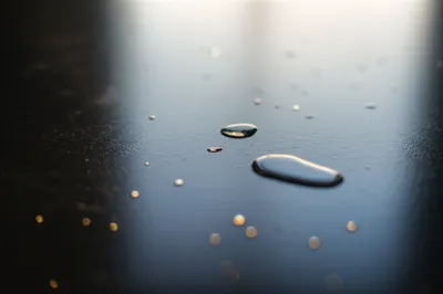 Illustration pools - Image 1