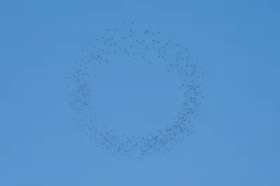 Illustration spiraling - Image 1