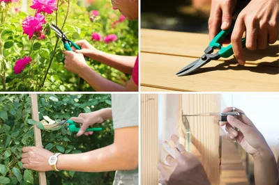 Illustration apply - Image 1