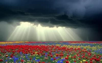 Illustration flashing - Image 1