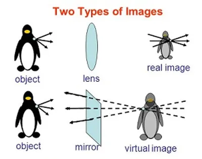 Illustration real - Image 4