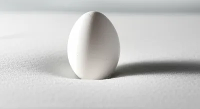 Illustration cushions - Image 1