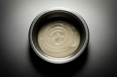 Illustration porridge - Image 1