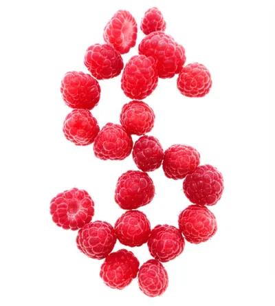 Illustration berry - Image 1